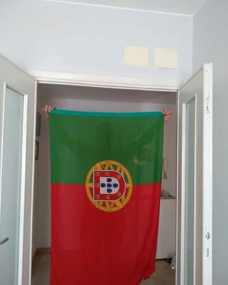 Bandiere nazionali del mondiale
