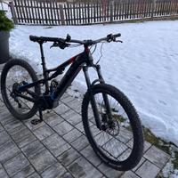OLYMPIA CICLI EX 900 TRAIL EBIKE