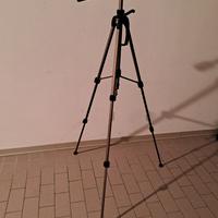 Cavalleto Hama Star 61