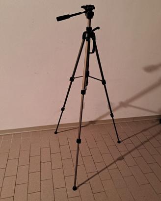 Cavalleto Hama Star 61