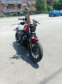 Harley Davidson 883 iron