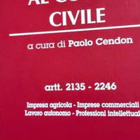 libri COMMENTARIO AL CODICE CIVILE DI PAOLO CENDON
