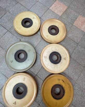 Dischi olimpionici foro 51 mm