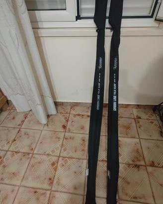coppia canne surfcasting alcedo green line 