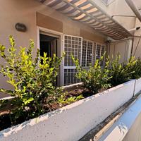 Casa vacanze ad Anzio 9 posti letto