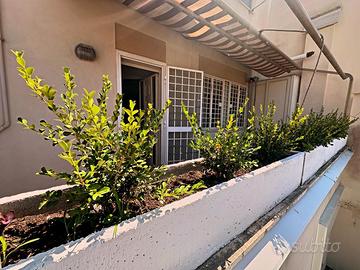 Casa vacanze ad Anzio 9 posti letto