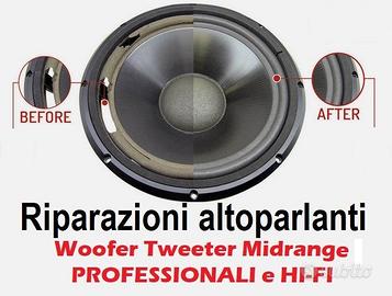 Riconatura Altoparlanti Woofer Tweeter Driver