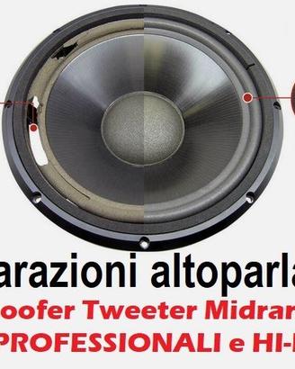 Riconatura Altoparlanti Woofer Tweeter Driver