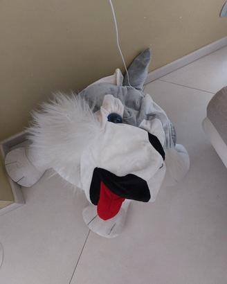 Cagnolone grande