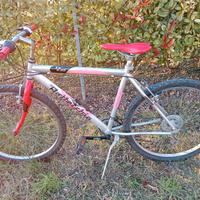 Mountain-bike botecchia