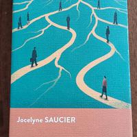 
Jocelyn Saucier - Il segreto dei Cardinal