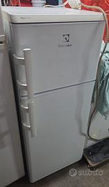 Frigorifero REX ELECTROLUX 2 porte