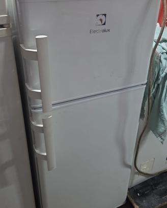 Frigorifero REX ELECTROLUX 2 porte