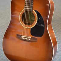 CHITARRA ACUSTICA "SIMON & PATRICK"