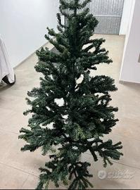 Alberto di natale alto 1.70