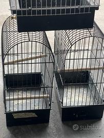 Gabbie da esposizione