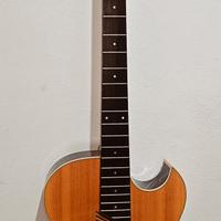 Basso Acustico Washburn AB-10 - Natural