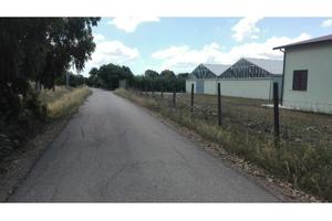 Casa + Azienda Agricola