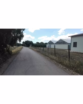 Casa + Azienda Agricola