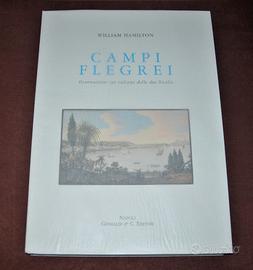 Campi Flegrei - vulcani due Sicilie - 59 tavole