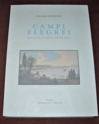 Campi Flegrei - vulcani due Sicilie - 59 tavole