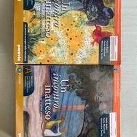 un incontro inatteso, volume A e B antologia