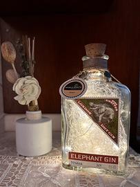 Bottiglia Gin con lucide LED