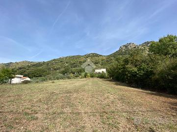 TER. RESIDENZIALE A CASSINO