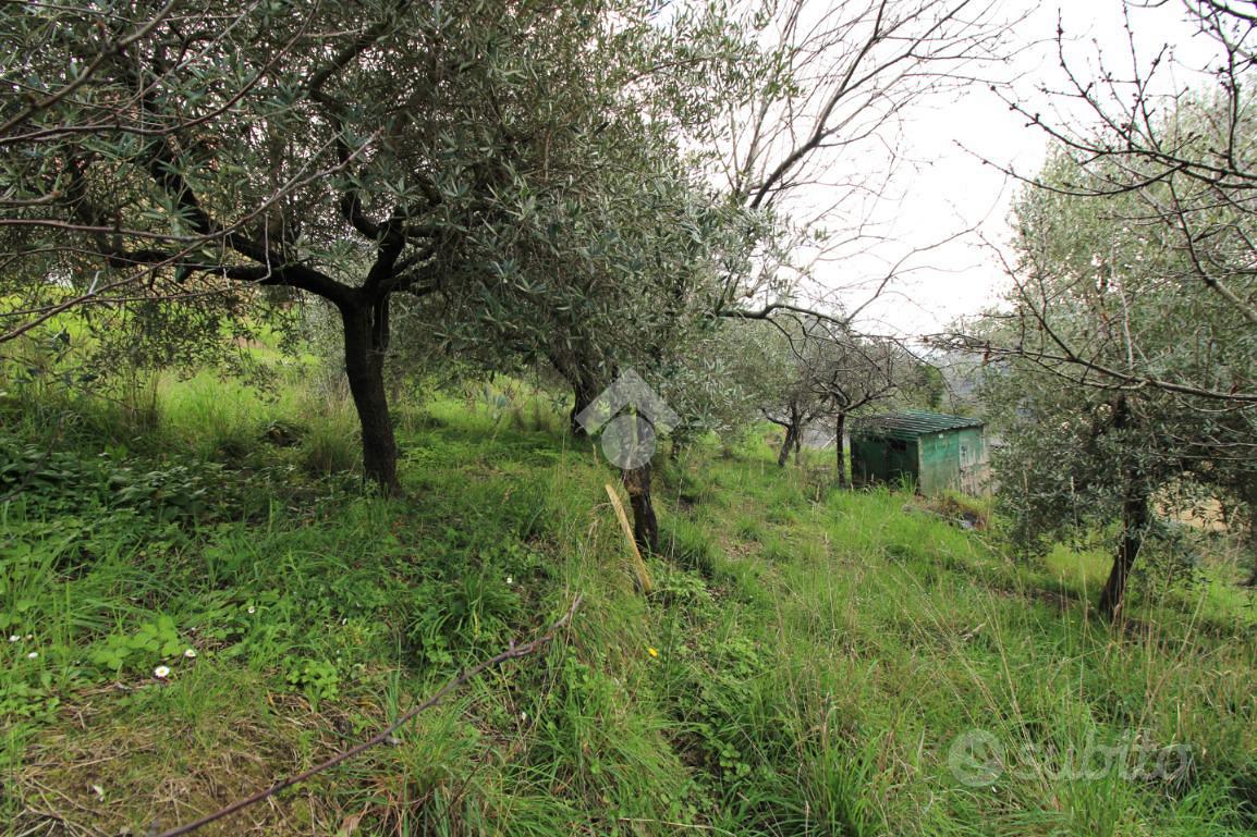 TER. AGRICOLO A LEIVI - Vista 5
