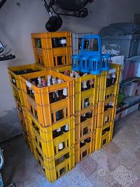 Lotto 350 bottiglie + 20 cassette plastica da 12
