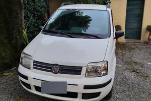 Fiat Panda Usata