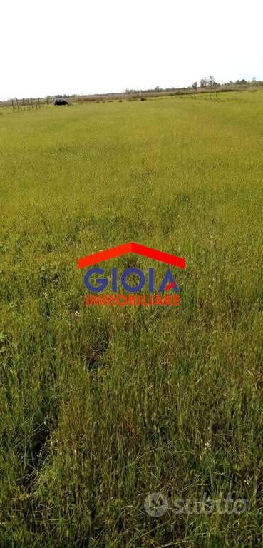 Terreno di 4000 m² a Sessa Aurunca - Vista 4