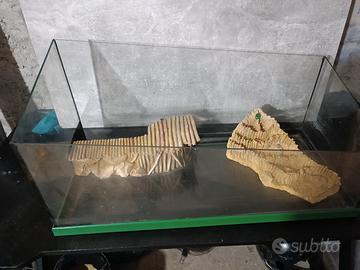 terraio tartaruga/Iguana/tarantole/serpenti