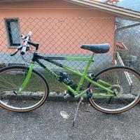 Bianchi ragno