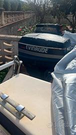 Motore evinrude 73740/60