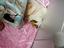 Immagine 3