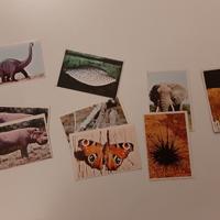 figurine animali nel mondo ed. album dell'arte 