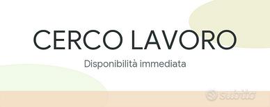 Candidatura profilo amministrativo/back office