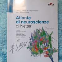 Atlante Netter di neuroscienze