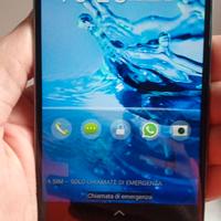 SMARTPHONE 5 POLLICI