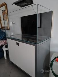 Acquario in extrachiaro