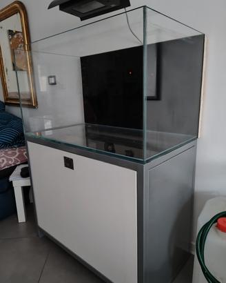 Acquario in extrachiaro