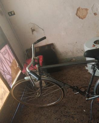 bicicletta bianchi campione del mondo 1987
