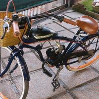 bicicletta a motore