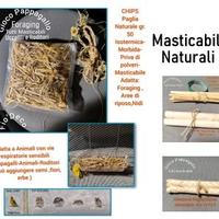Giochi per Pappagalli Animali Masticabili Foraging