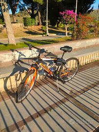 Bicicletta montana_perfetto condizioni