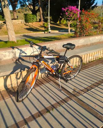 Bicicletta montana_perfetto condizioni