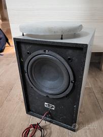 subwoofer da 16.5 potente