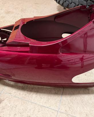 Codone posteriore malaguti f10