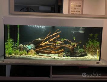 Acquario Ferplast 120